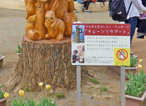 写真:木の回を囲むチューリップのプランター。2ヵ所に注意書きと制作の経緯を伝える看板。