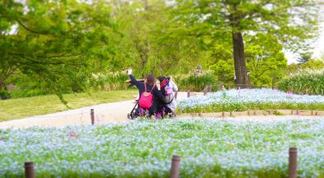 写真:ネモフィラの花畑をバックに、ベビーカーの両脇にしゃがんで写真を撮る母と祖母と子。