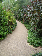 写真:緑の植栽の間をカーブして延びる園路