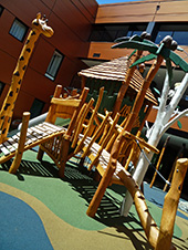 写真:複合遊具の周りには、高さ4メートルほどの丸太で作ったキリンやヤシの木が立っている。遊具から離して安全領域を確保した方が良いケースも。