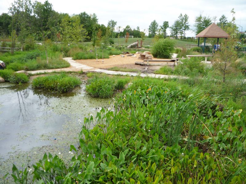 写真：水生植物の生い茂る池と池沿いを巡る歩道